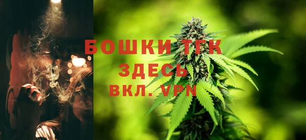 гашик Каменногорск