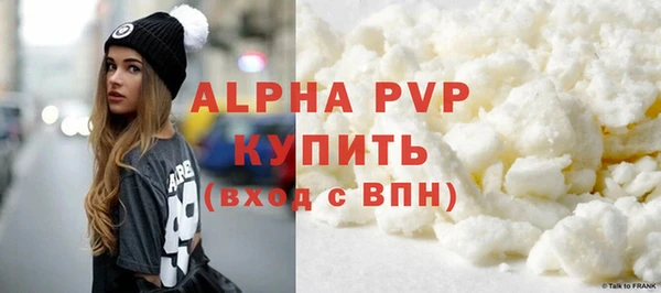 гашик Каменногорск