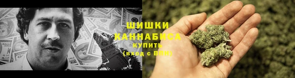 гашик Каменногорск