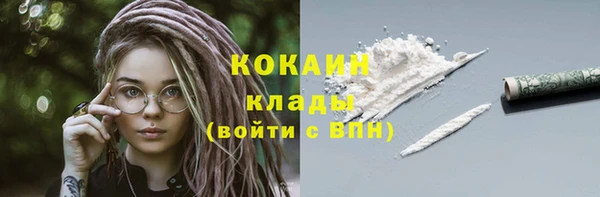 гашик Каменногорск