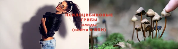 прущие крисы Каменск-Шахтинский