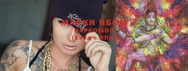 гашик Каменногорск