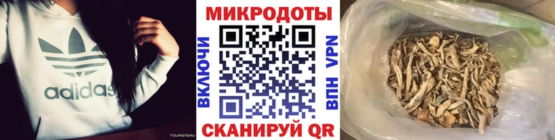 Купить где Череповец Псилоцибиновые грибы GOLDEN TEACHER